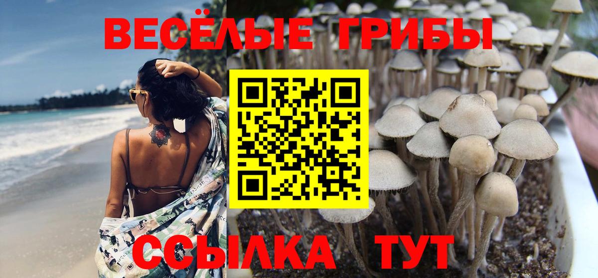 Галлюциногенные грибы мицелий Тайшет